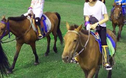 �����T���T�R����300�ּ�����ƪ