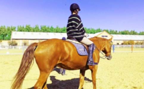 ���x��һ���T�R����300�օR����ƪ