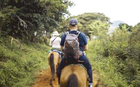 �T�RС�W���ģ�ͨ��69ƪ��