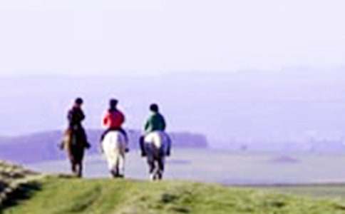 ���ȥ�T�R����300�֣�ͨ��30ƪ��