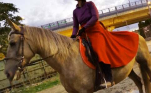 ���T�R���}������