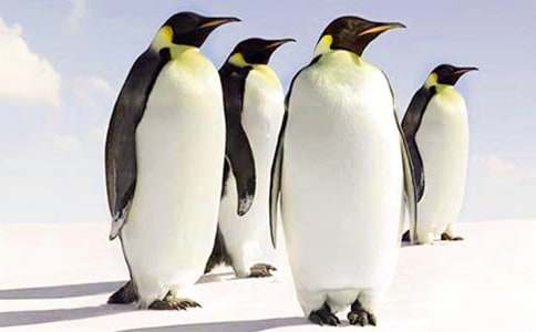 �ҵ���żС���Z����400�֣����x22ƪ��