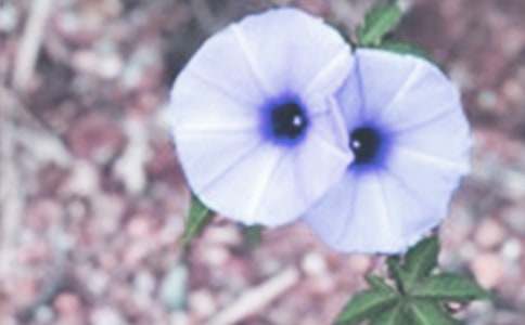 �^�젿ţ������