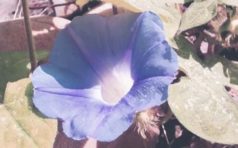 �^�젿ţ��С�W���^������