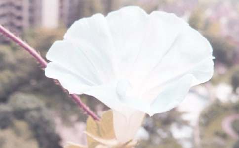 ���P��ţ������400��