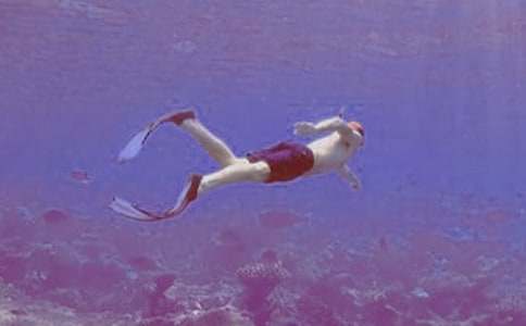 �ҌW���˝�ˮ���꼉����