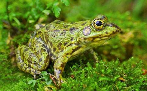 ���ܺ�Λρ����5ƪ