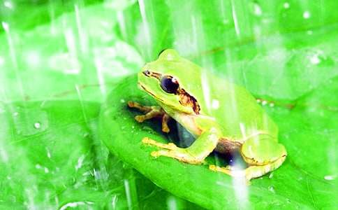 �����]�����ܺ�Λρ����3ƪ