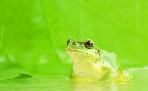 �����A�����ܺ�Λρ������ƪ