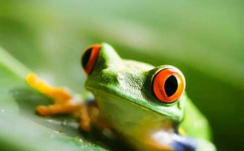 ���ܺ�Λρ����3ƪ