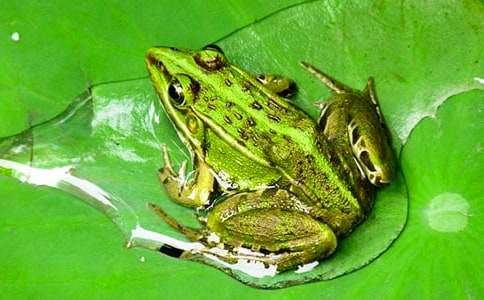 ���ܺ�Λρ����6ƪ