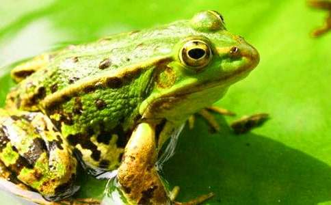 ���罛��ͯԒ����������