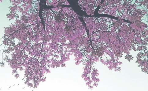 2023С���＾�̌WӋ��