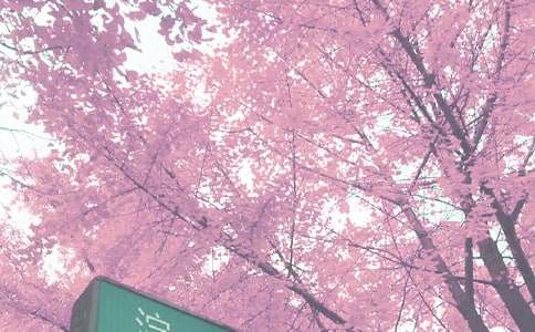 �P��С�W���＾����300�օR����ƪ