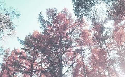 2017�＾�W��С�W�̌W����Ӌ��