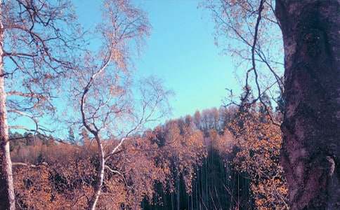 ���Տā����ǽ��S������700��