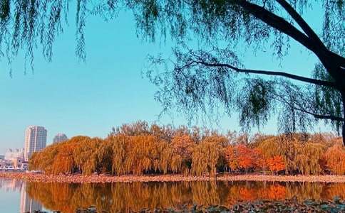 ���P���յ�ꖹ����ģ����x31ƪ��