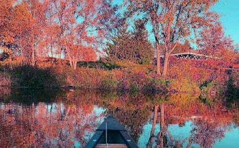 �������~���ĺϼ�5ƪ