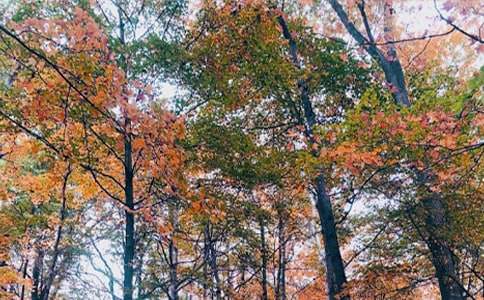 ��������600�֣����x30ƪ��