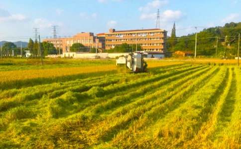 秋收作文400字三篇