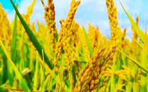 �������׵�����500�֣����x12ƪ��