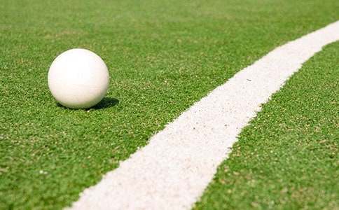 看曲棍球比賽600字作文(精選21篇)