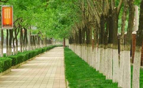 ���е��Ī��׳�������