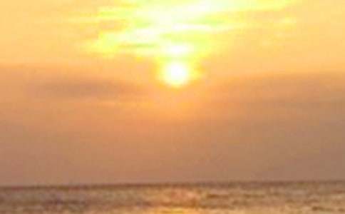 ���侫�x����