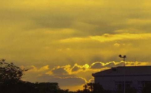 �����茑���������