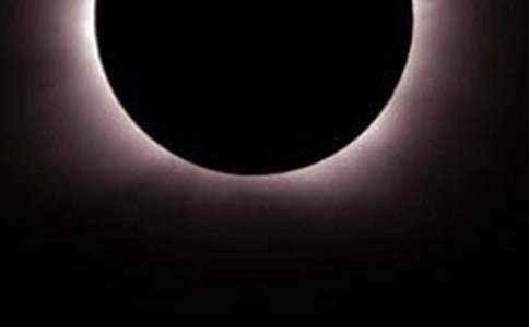 觀日食作文600字六年級