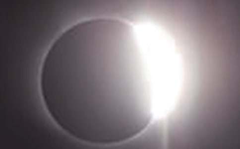 �P���^����ʳ������