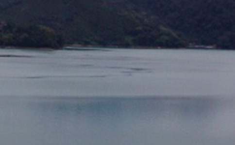 �P���_������̶��С�W����