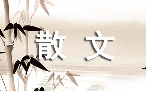 ����ɢ�����Č�ѩ