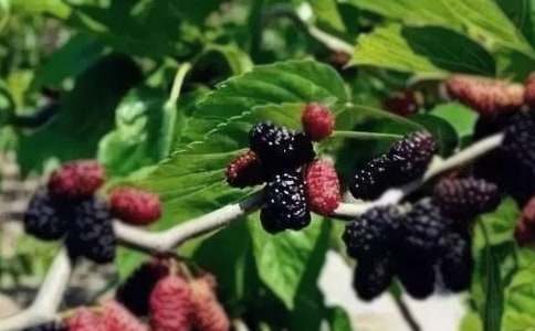 ��ɣ������400��