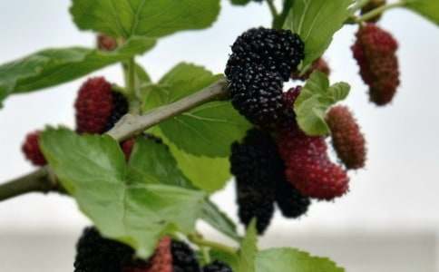 ��ɣ������600��