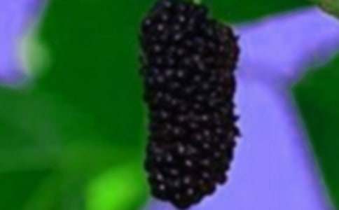 ��ɣ��С�W����