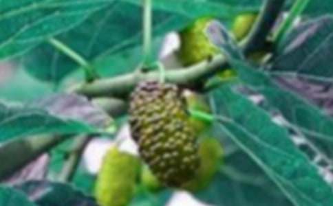 ��ɣ��600������