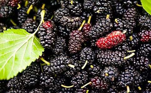 ����F��oʳɣ�ظ�������