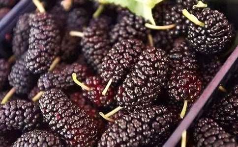 �q������Ǵ�������ɣ������