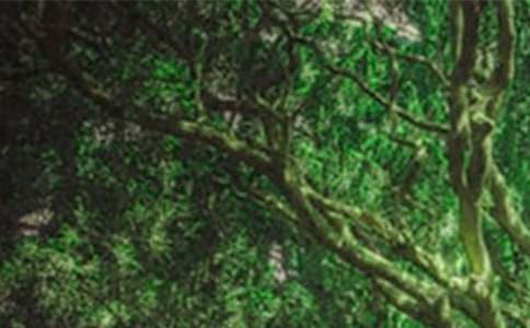 ���꼉�Եڰˆ�Ԫɭ���ݳ������ģ����x24ƪ��