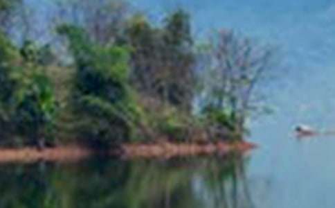 ���Pɽˮ���箋��������