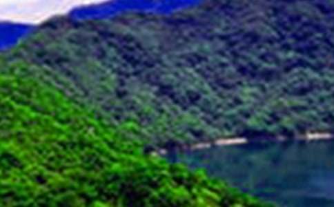 ɽˮ���ϸ�������