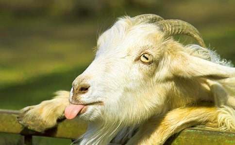 ɽ���^��ľ���������