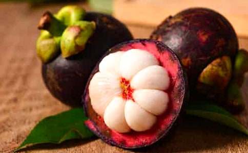 ɽ�����������2ƪ