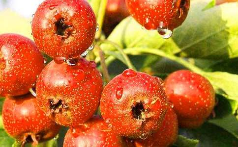 ��ɽ�����400�֣����x26ƪ��