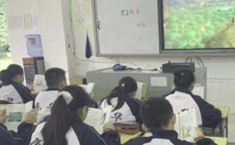 �W�����n�t���zӑ������