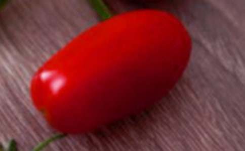 圣女果我的最愛狀物作文