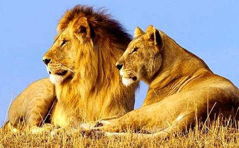 �򔡪{��_1200��