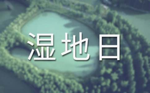 �������ջ�ӷ���