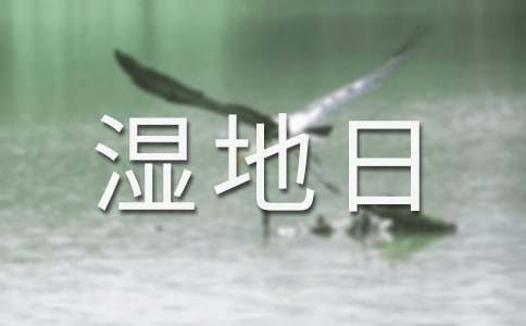 2025�����������������Z